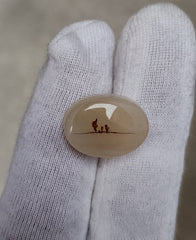 9.8ct Natural Dendritic Agate - Shajri Aqeeq -12x16x6mm