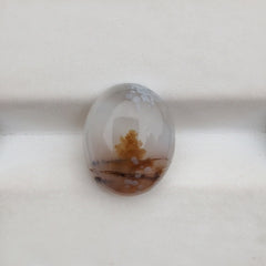 5.2ct Natural Dendritic Agate - Shajri Aqeeq -11x13mm