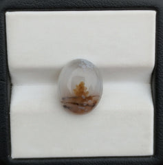 5.2ct Natural Dendritic Agate - Shajri Aqeeq -11x13mm