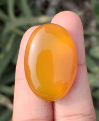 45ct Natural Carnelian Gemstone- Yellow Aqeeq - 22x33mm