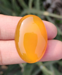 45ct Natural Carnelian Gemstone- Yellow Aqeeq - 22x33mm