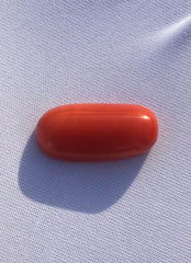 Красный коралл 7,30 карата — камень Мунга — камень Марджан — камень Пагадам — 19 x 9 x 5 мм