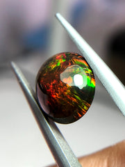 3.1ct Opal for Sale - Black Fire Opal - October Birthstone - 12.2x10.5mm