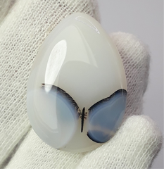 Редкий узор бабочки внутри натурального дендритного агата — коллекционный драгоценный камень — 31,1 карата