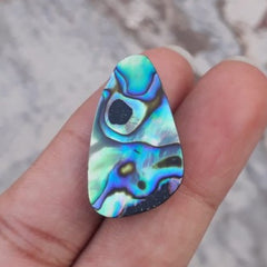 Раковина морского ушка 16 карат - Haliotis Iris, ракушки Paua, перламутр, перламутр, аулон, морское ухо - 27x17 мм