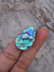 Раковина морского ушка 20,7 карата - Haliotis Iris, ракушки Paua, перламутр, перламутр, аулон, морское ухо - 28x18 мм