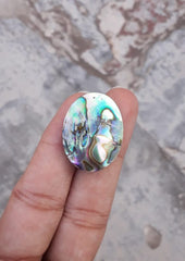 26.4ct Abalone Shell - Haliotis Iris, Paua Shells, Nacre, Mother-of-Pearl, Aulon, Sea ear - 27x21mm