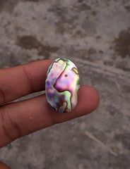 Раковина морского ушка 27,8 карата - Haliotis Iris, ракушки Paua, перламутр, перламутр, аулон, морское ухо - 28,5x17,5 мм