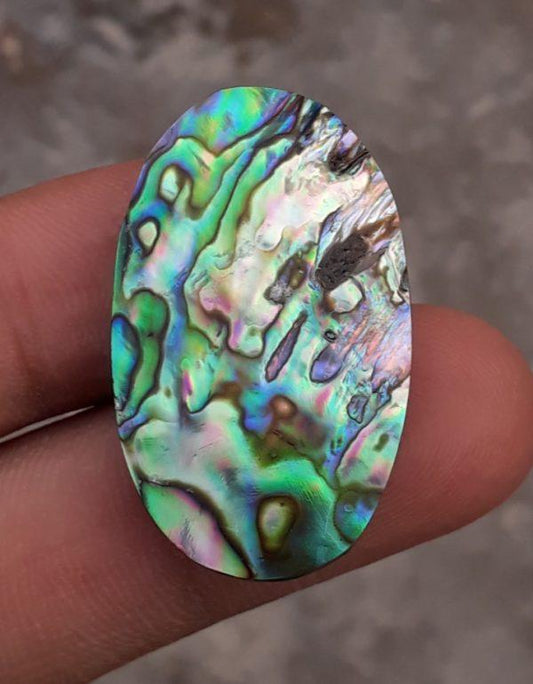 37.8ct Abalone Shell - Haliotis Iris, Paua Shells, Nacre, Mother-of-Pearl, Aulon, Sea ear - 33.8x20mm