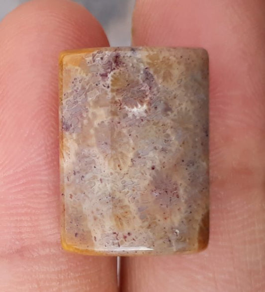 Natural Chrysanthemum Gemstone aka Agatized Coral - 13x18mm