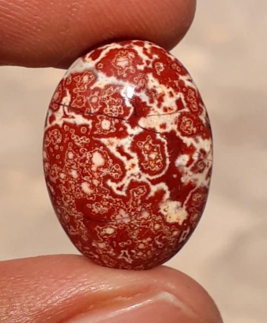 9.5ct Jasper - Blood Jasper Cabochon - Red Jasper -19.7x14mm