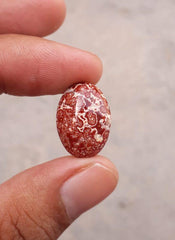 9.5ct Jasper - Blood Jasper Cabochon - Red Jasper -19.7x14mm