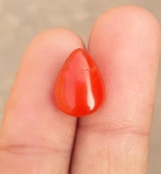 6.2ct Red Coral Stone - Moonga Stone - Marjan Stone - Pagadam Stone - 13.7x10.3mm