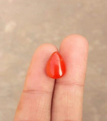 Красный коралловый камень 6,2 карата - Камень Мунга - Камень Марджан - Камень Пагадам - 13,7x10,3 мм