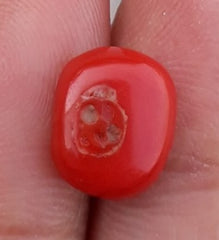 Красный коралл 3,4 карата - Камень Мунга - Камень Марджан - Камень Пагадам - 12x10 мм