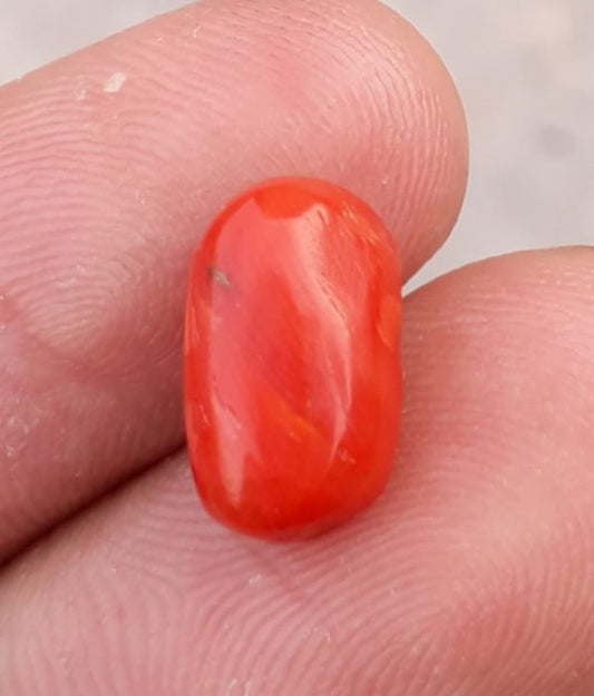 Коралловый камень 3,8 карата - Камень Мунга - Камень Марджан - Камень Пагадам - 12x7 мм