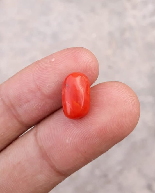 Коралловый камень 3,8 карата - Камень Мунга - Камень Марджан - Камень Пагадам - 12x7 мм