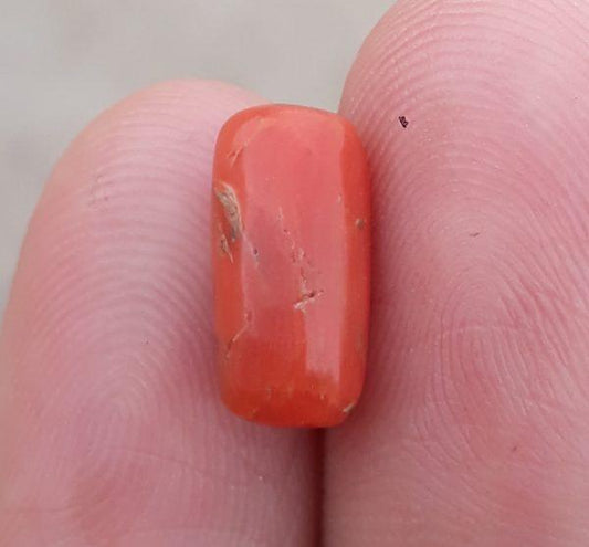 Коралловый камень 3,9 карата - Камень Мунга - Камень Марджан - Камень Пагадам - 11x4 мм