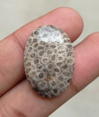 Natural Chrysanthemum Gemstone aka Agatized Coral Cabochon- 29x20x5mm