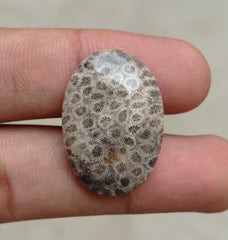 Natural Chrysanthemum Gemstone aka Agatized Coral Cabochon- 29x20x5mm