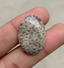 Natural Chrysanthemum Gemstone aka Agatized Coral Cabochon- 29x20x5mm