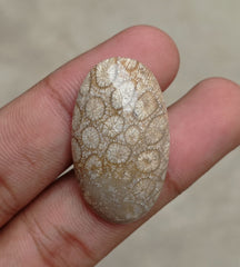 Natural Chrysanthemum Gemstone aka Agatized Coral Cabochon- 35x21x7mm