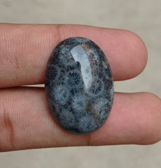 Natural Chrysanthemum Gemstone aka Agatized Coral Cabochon - 29x22x5mm