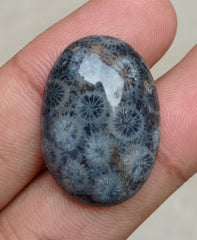 Natural Chrysanthemum Gemstone aka Agatized Coral Cabochon - 29x22x5mm