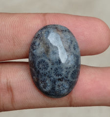 Natural Chrysanthemum Gemstone aka Agatized Coral Cabochon - 29x22x5mm