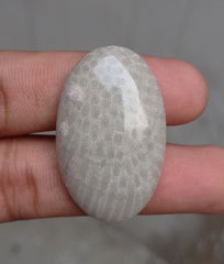 Natural Chrysanthemum Gemstone aka Agatized Coral Cabochon - 39x24x7mm