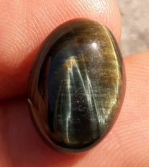 10.3ct Hawk's Eye Cabochon , Falcon's Eye, Blue Tiger's Eye, Blue Asbestos - 12x16mm