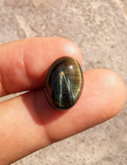 10.3ct Hawk's Eye Cabochon , Falcon's Eye, Blue Tiger's Eye, Blue Asbestos - 12x16mm