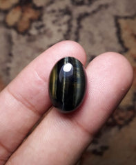 14.6ct Hawk's Eye Cabochon , Falcon's Eye, Blue Tiger's Eye, Blue Asbestos - 13x18mm