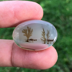 Unique Landscape in Natural Dendritic Agate Gemstone - Collector Gemstone - 23.6cartats