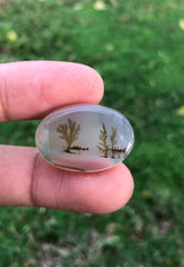 Unique Landscape in Natural Dendritic Agate Gemstone - Collector Gemstone - 23.6cartats