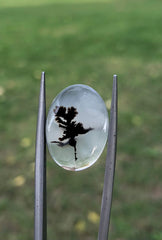 Натуральный дендритный агат – коллекционный драгоценный камень – 9,7 карата