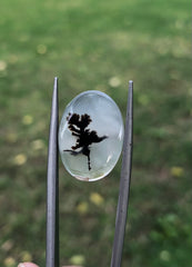 Натуральный дендритный агат – коллекционный драгоценный камень – 9,7 карата