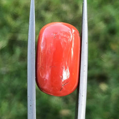 17.3ct Coral Stone - Moonga Stone - Marjan Stone - Pagadam Stone - 17x10mm