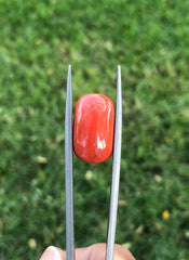 17.3ct Coral Stone - Moonga Stone - Marjan Stone - Pagadam Stone - 17x10mm