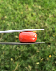 17.3ct Coral Stone - Moonga Stone - Marjan Stone - Pagadam Stone - 17x10mm