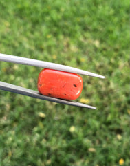 17.3ct Coral Stone - Moonga Stone - Marjan Stone - Pagadam Stone - 17x10mm