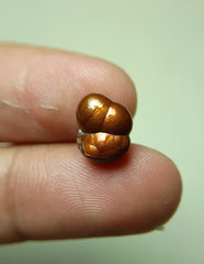 Красивая резьба по огненному агату — Agate De Feugo