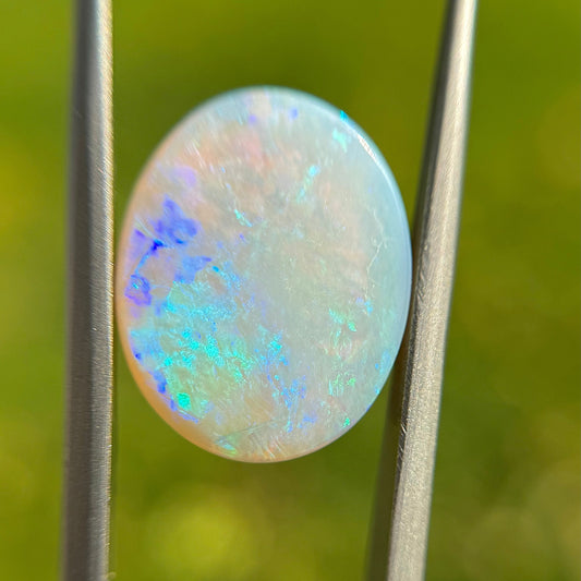 Opal stone held between tweezers with a blurred green background