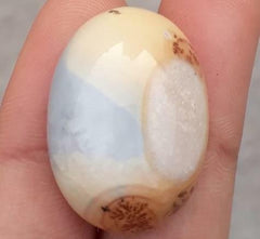 44.2ct Jasper - Maligano Jasper Cabochon - Jasper Maligano- 28x20mm