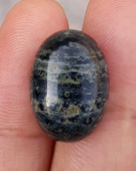 13.2ct Jasper - Kambaba Jasper Cabochon - Alligator Jasper - 13x18mm