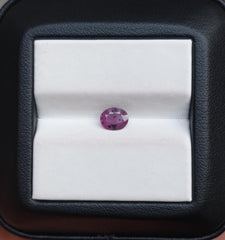 0.55ct Sapphire for Sale - Kashmiri Sapphire Gemstone with Natural Inclusions- Dimensions 6x5x2.1mm