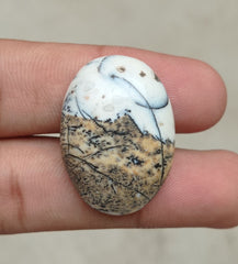 42.2ct Jasper - Scenic Jasper Cabochon - 32x23x7mm