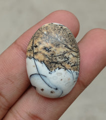 42.2ct Jasper - Scenic Jasper Cabochon - 32x23x7mm