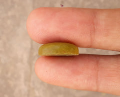 Змеиный кабошон 10,2 карата — Шах Макксуд — Zehrmora — 15 x 11 мм