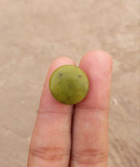 Змеиный кабошон 17,4 карата — Шах Максуд — Zehrmora — 17,2x17,5 мм